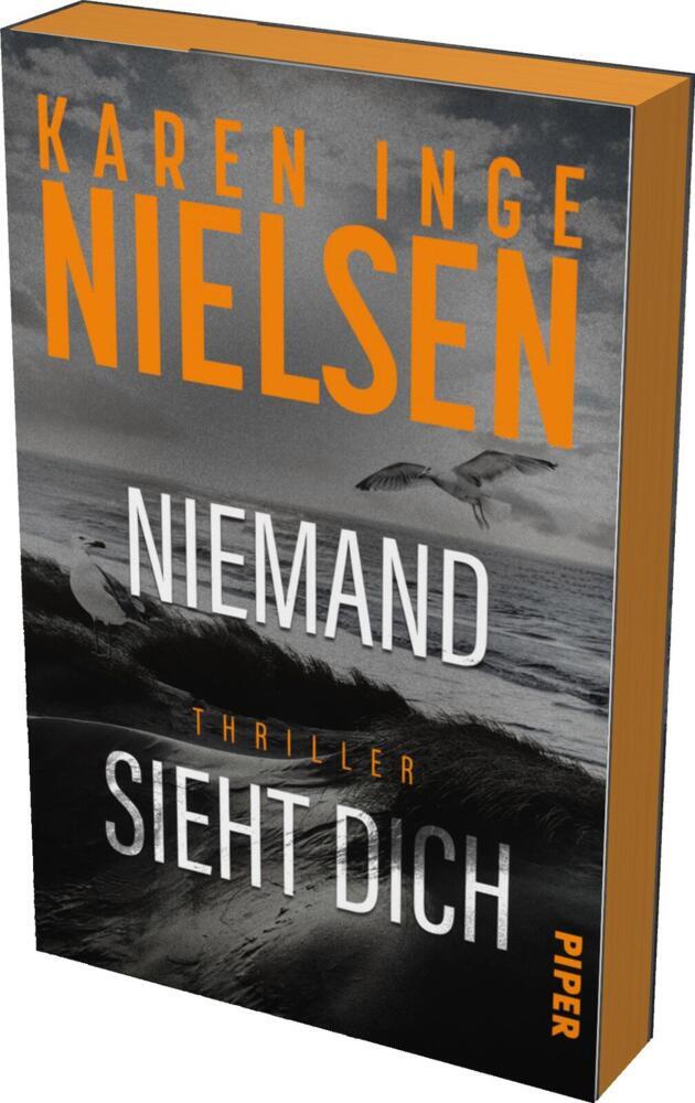 Niemand sieht dich (Karen Inge Nielsen)