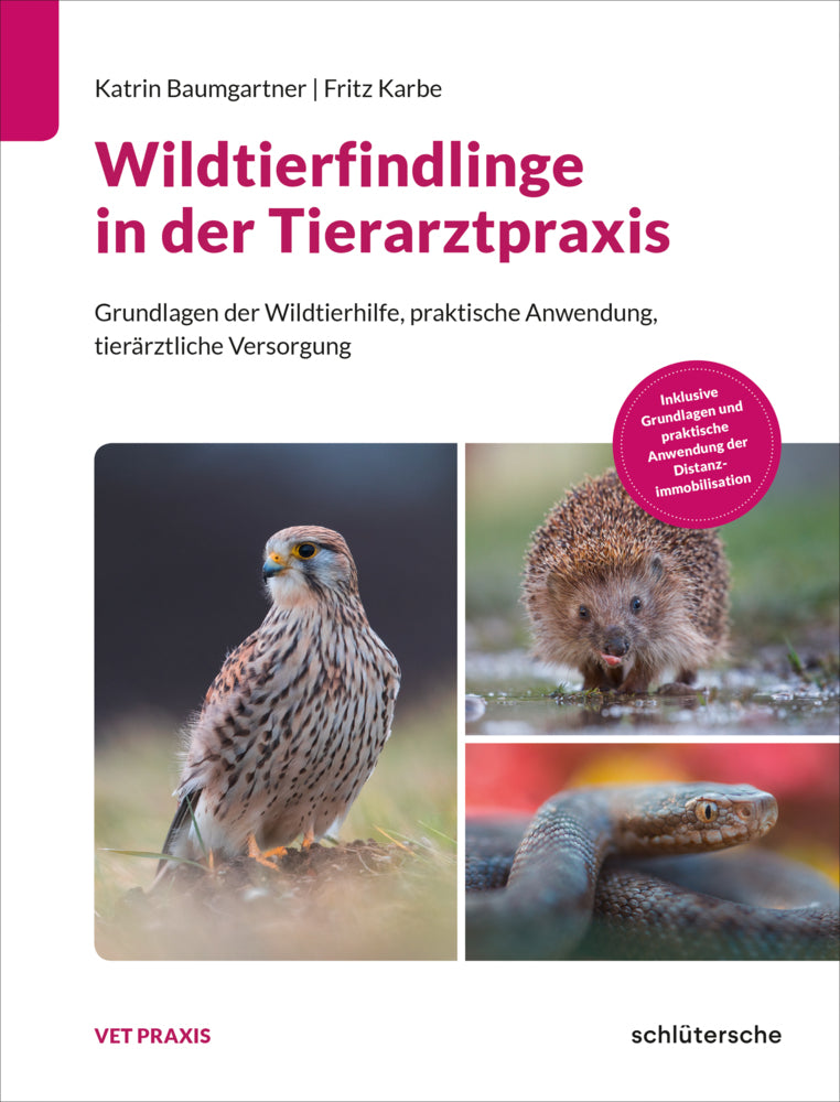 Wildtierfindlinge in der Tierarztpraxis (Katrin Baumgartner)