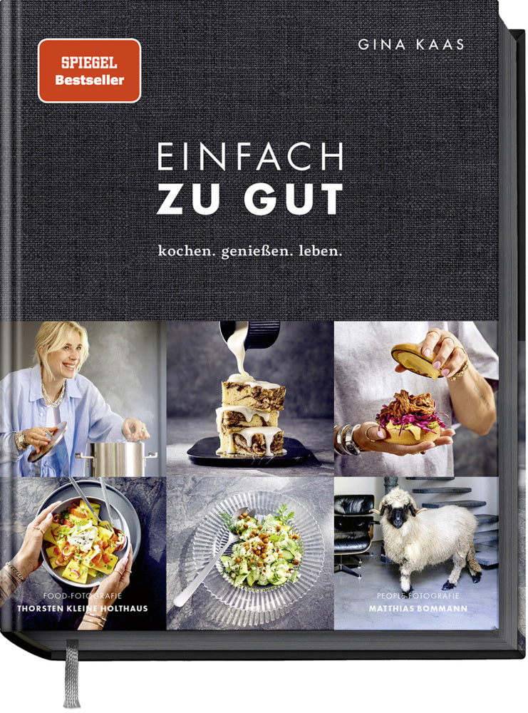 Einfach zu gut (Gina Kaas)