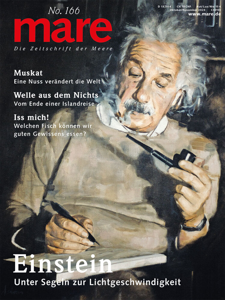 mare - Die Zeitschrift der Meere / No. 166 / Einstein (Nikolaus Gelpke)