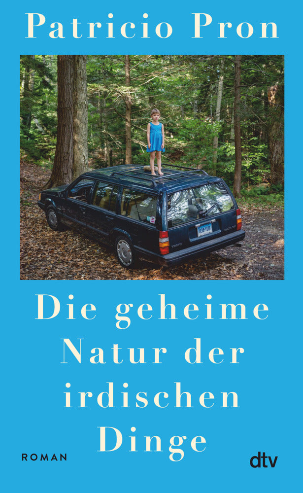 Die geheime Natur der irdischen Dinge (Patricio Pron)