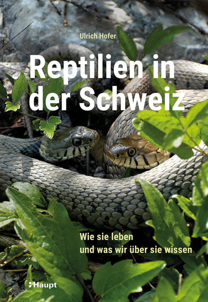 Reptilien in der Schweiz (Ulrich Hofer)