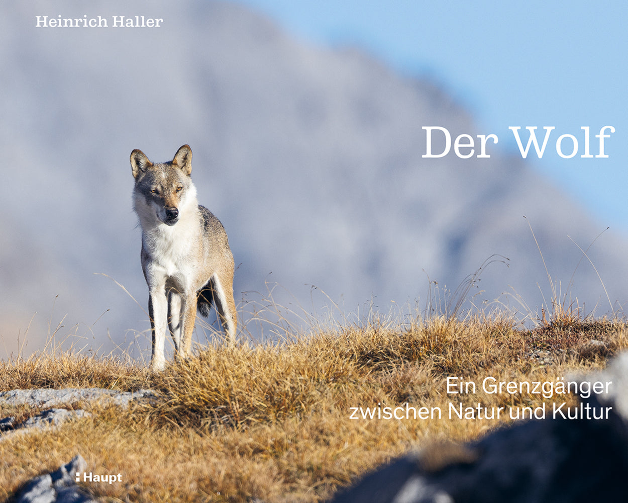 Der Wolf (Heinrich Haller)