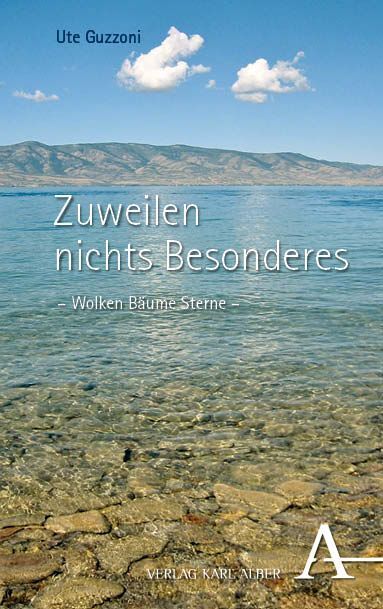 Zuweilen nichts Besonderes (Ute Guzzoni)