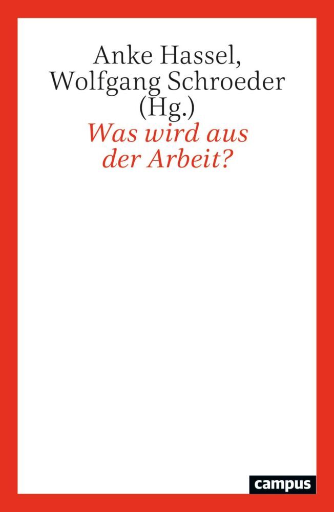 Was wird aus der Arbeit? (Anke Hassel)