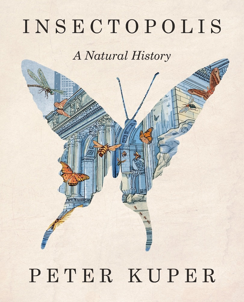 Insectopolis (Peter Kuper)