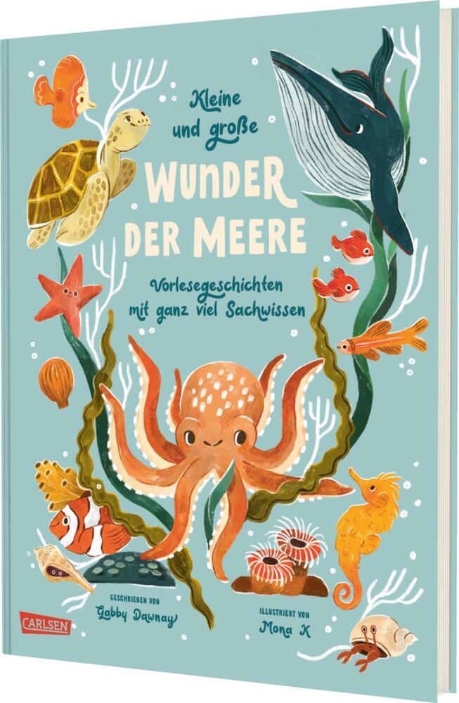Kleine und große Wunder der Meere (Gabby Dawnay)
