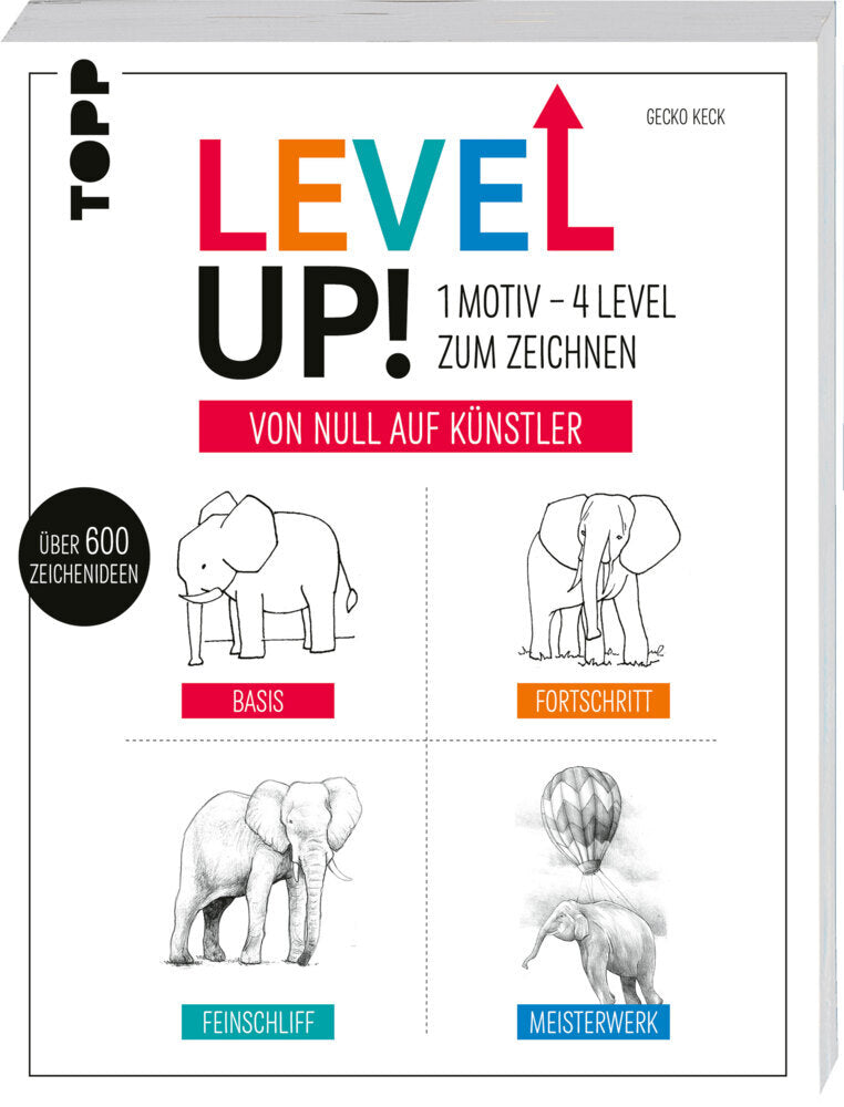 Level up! 1 Motiv - 4 Level zum Zeichnen (Gecko Keck)