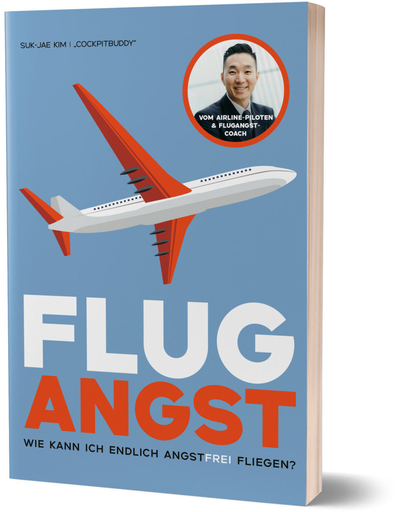 Flugangst (Cockpitbuddy)
