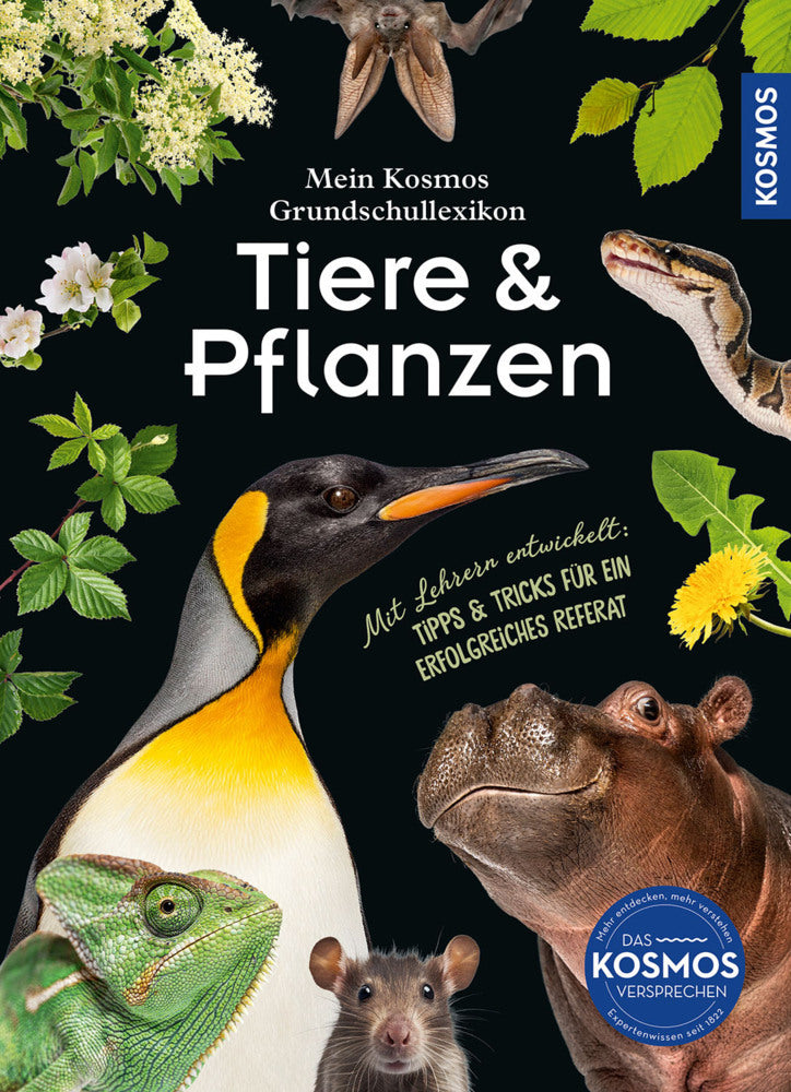 Mein Kosmos Grundschullexikon Tiere & Pflanzen (Ilka Sokolowski)