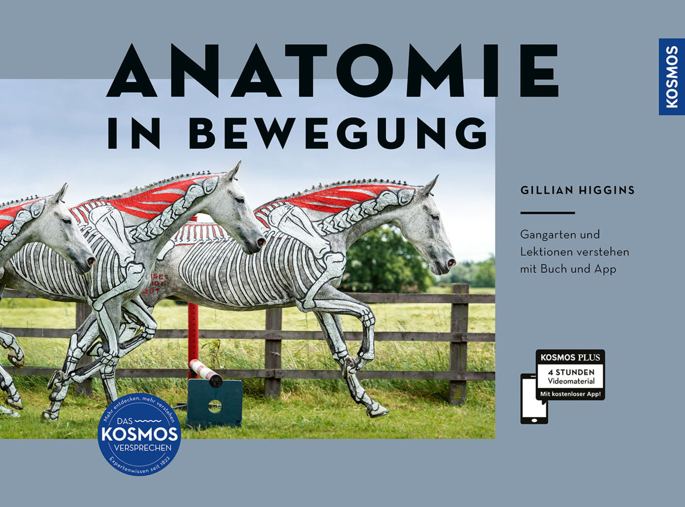 Anatomie in Bewegung (Gillian Higgins)