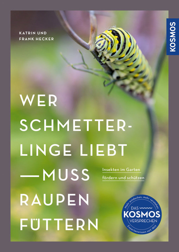 Wer Schmetterlinge liebt, muss Raupen füttern (Katrin Hecker)