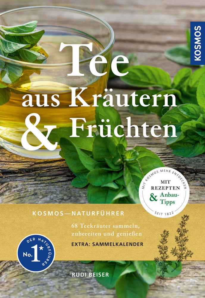Tee aus Kräutern und Früchten (Rudi Beiser)
