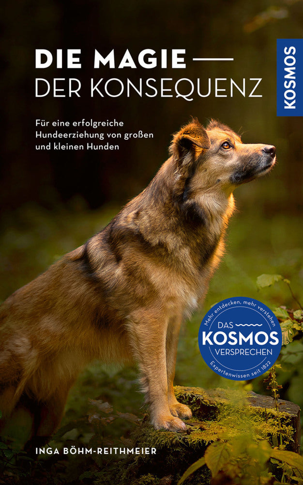 Die Magie der Konsequenz (Inga Böhm-Reithmeier)