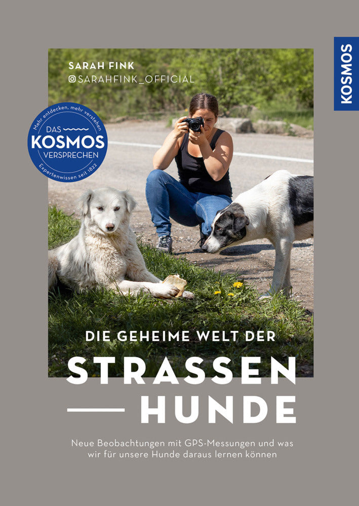 Die geheime Welt der Straßenhunde (Sarah Fink)