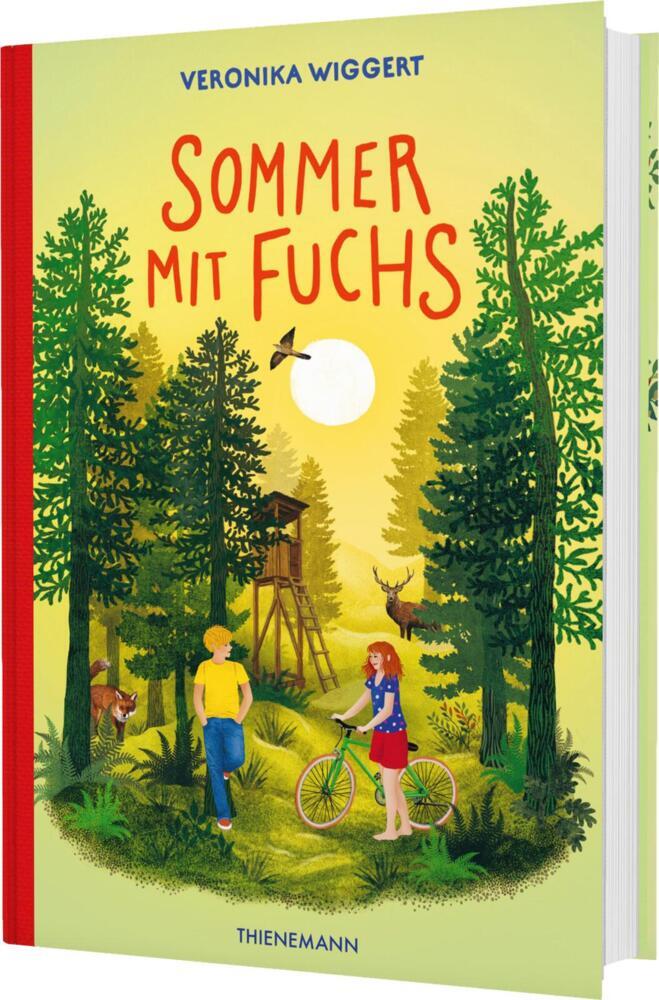 Sommer mit Fuchs (Veronika Wiggert)
