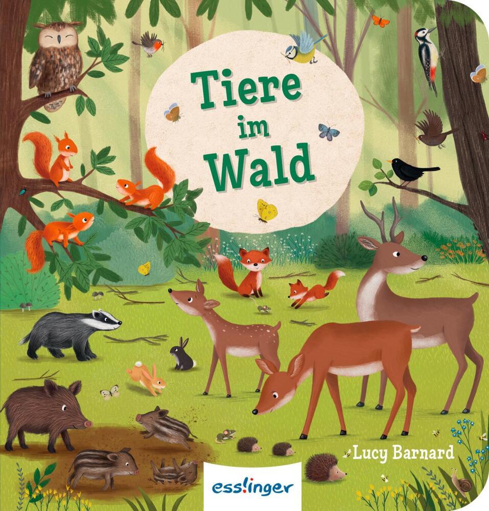Mein erstes Natur-Wimmelbuch: Tiere im Wald - Mini-Ausgabe (Sibylle Schumann)