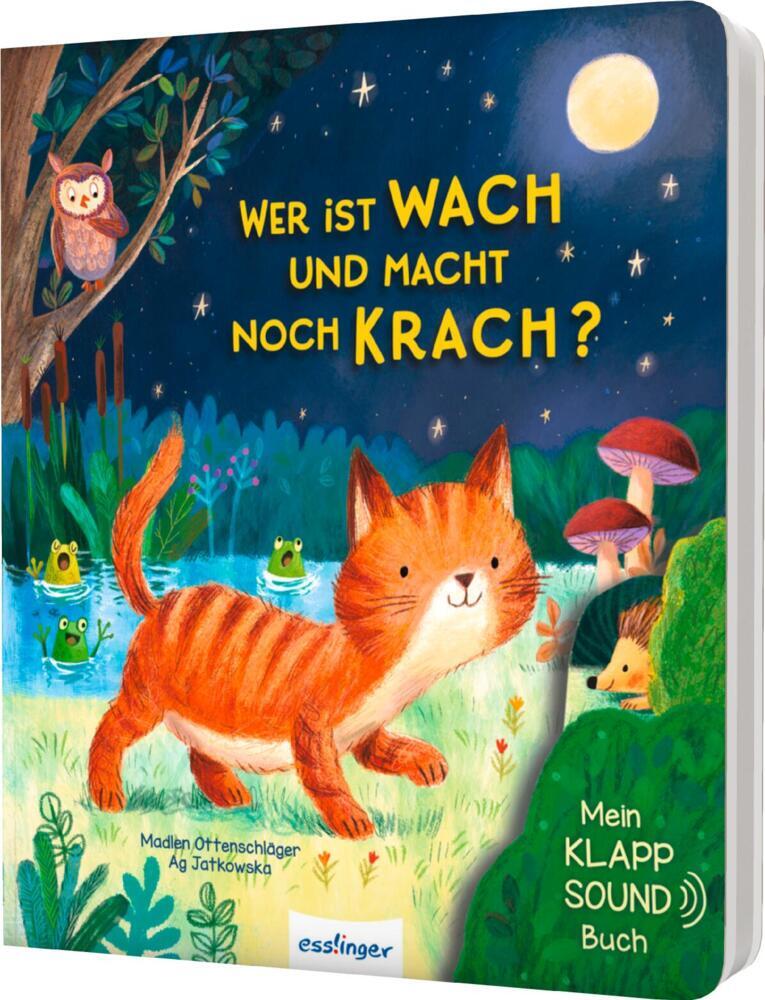 Mein Klapp-Sound-Buch: Wer ist wach und macht noch Krach? (Madlen Ottenschläger)