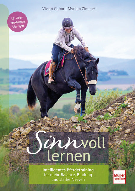 SINNvoll lernen (Vivian Gabor)