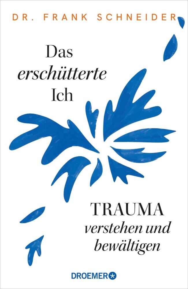 Das erschütterte Ich (Frank Schneider)