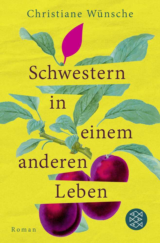 Schwestern in einem anderen Leben (Christiane Wünsche)