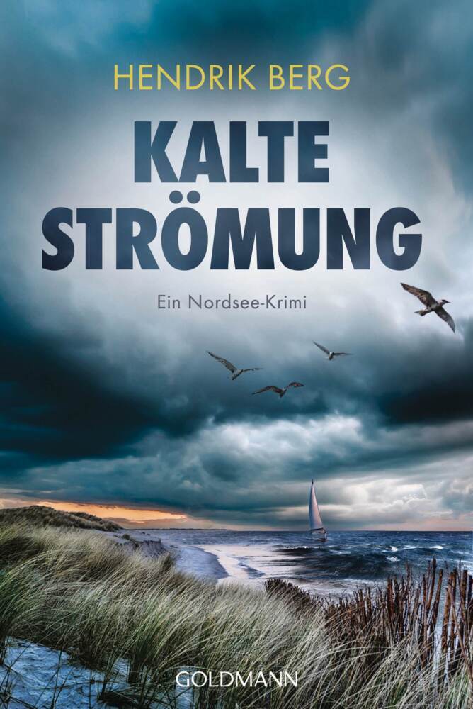 Kalte Strömung (Hendrik Berg)