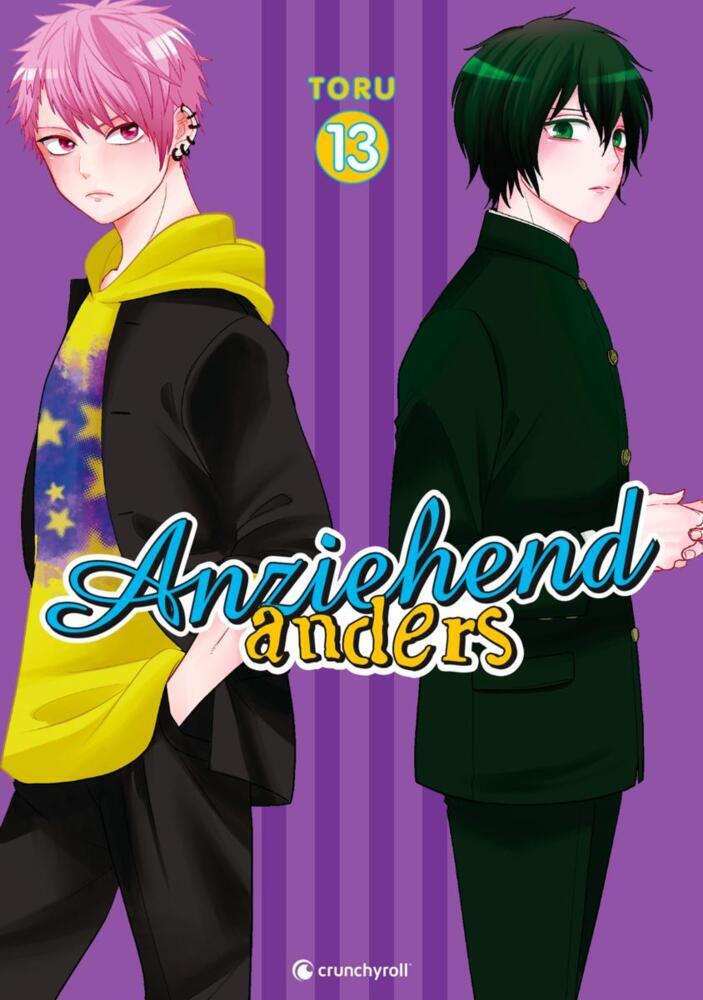 Anziehend anders - Band 13 (Toru)