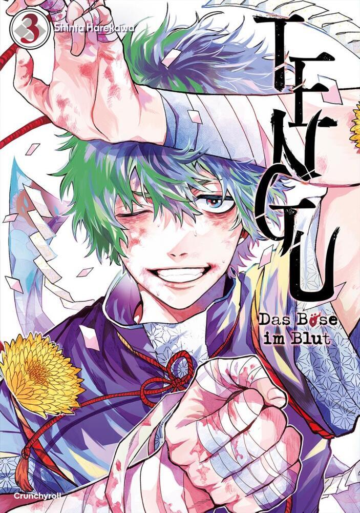 Tengu - Das Böse im Blut - Band 3 (Shinta Harekawa)