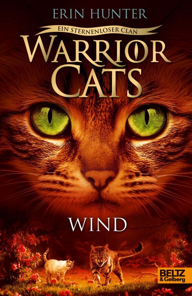 Warrior Cats - Ein sternenloser Clan. Wind (Erin Hunter)