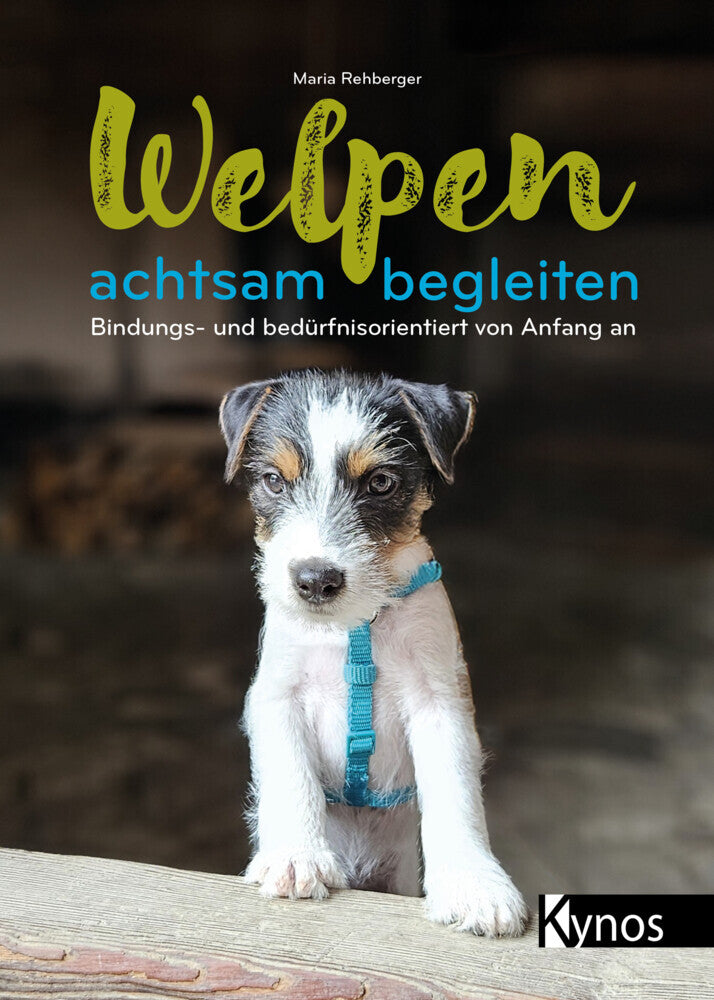 Welpen achtsam begleiten (Maria Rehberger)