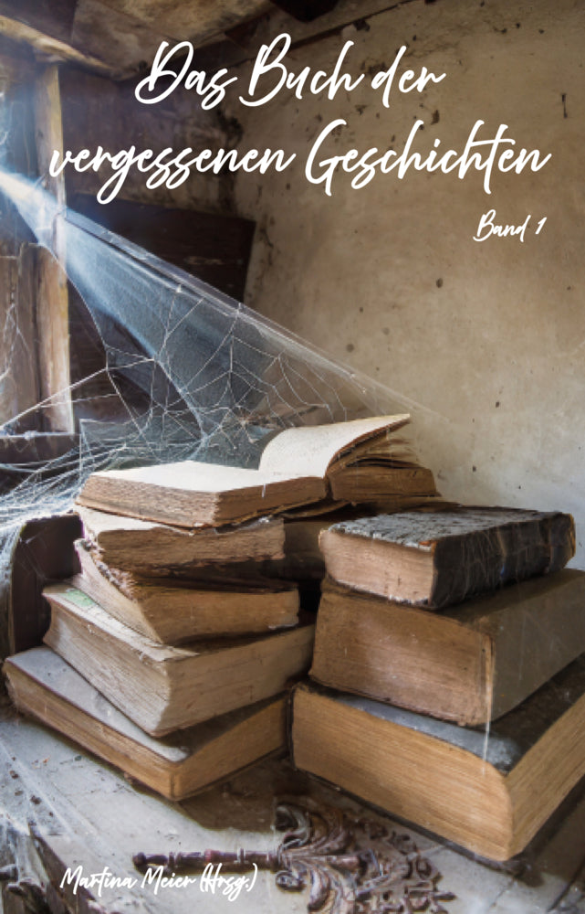 Das Buch der vergessenen Geschichten (Martina Meier)