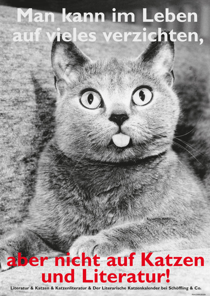 Postkarten Katzen und Literatur (VE10) (Julia Bachstein)