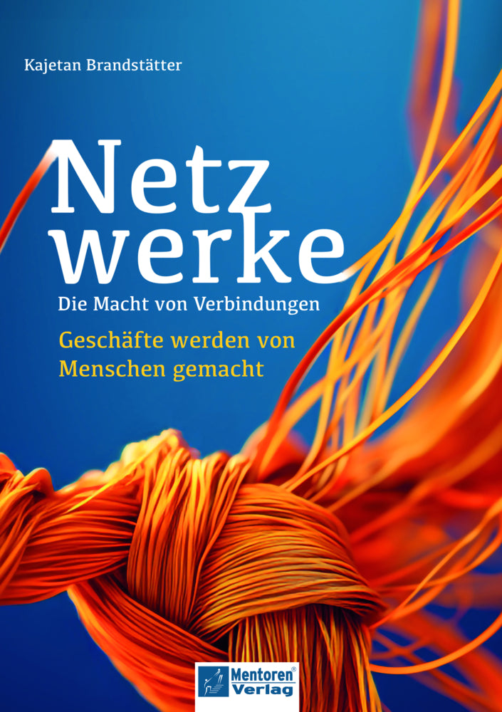 Netzwerke - Die Macht der Verbindungen (Kajetan Brandstätter)
