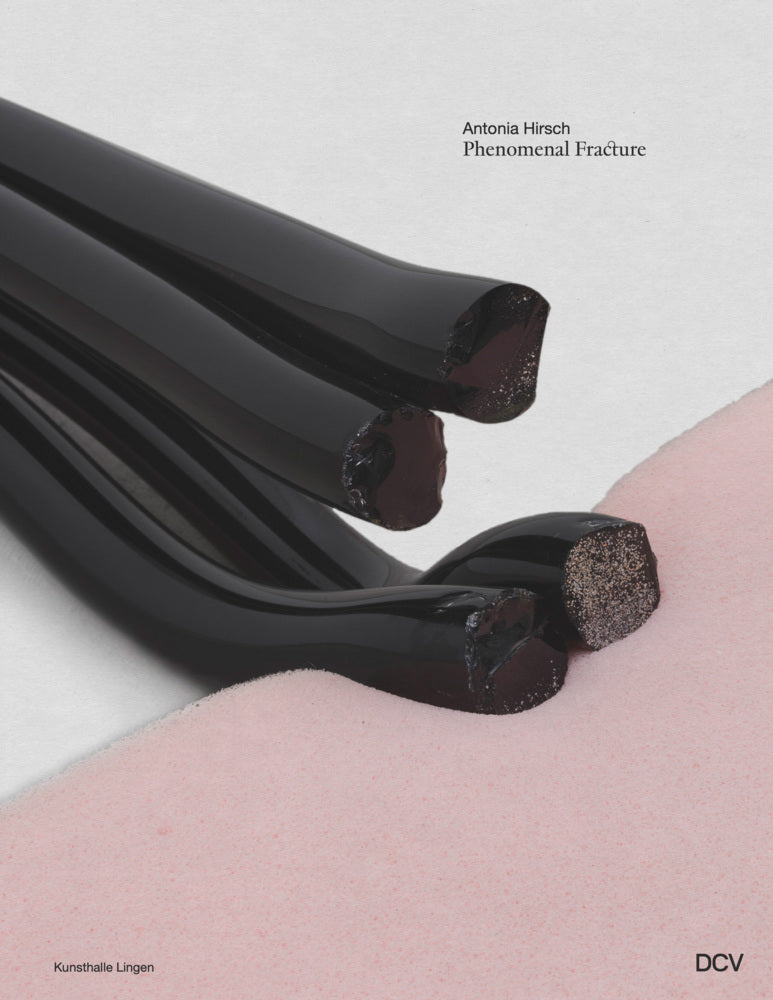 Antonia Hirsch - Phenomenal Fracture (Meike Behm)
