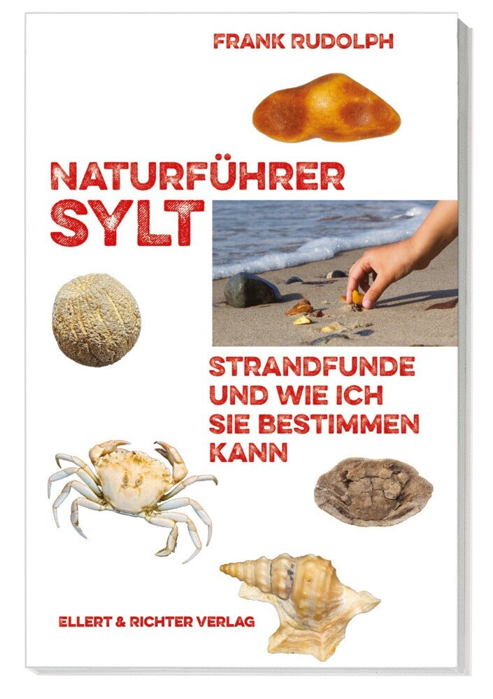 Naturführer Sylt (Frank Rudolph)