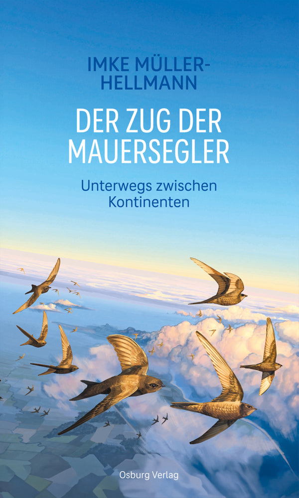 Der Zug der Mauersegler (Imke Müller-Hellmann)