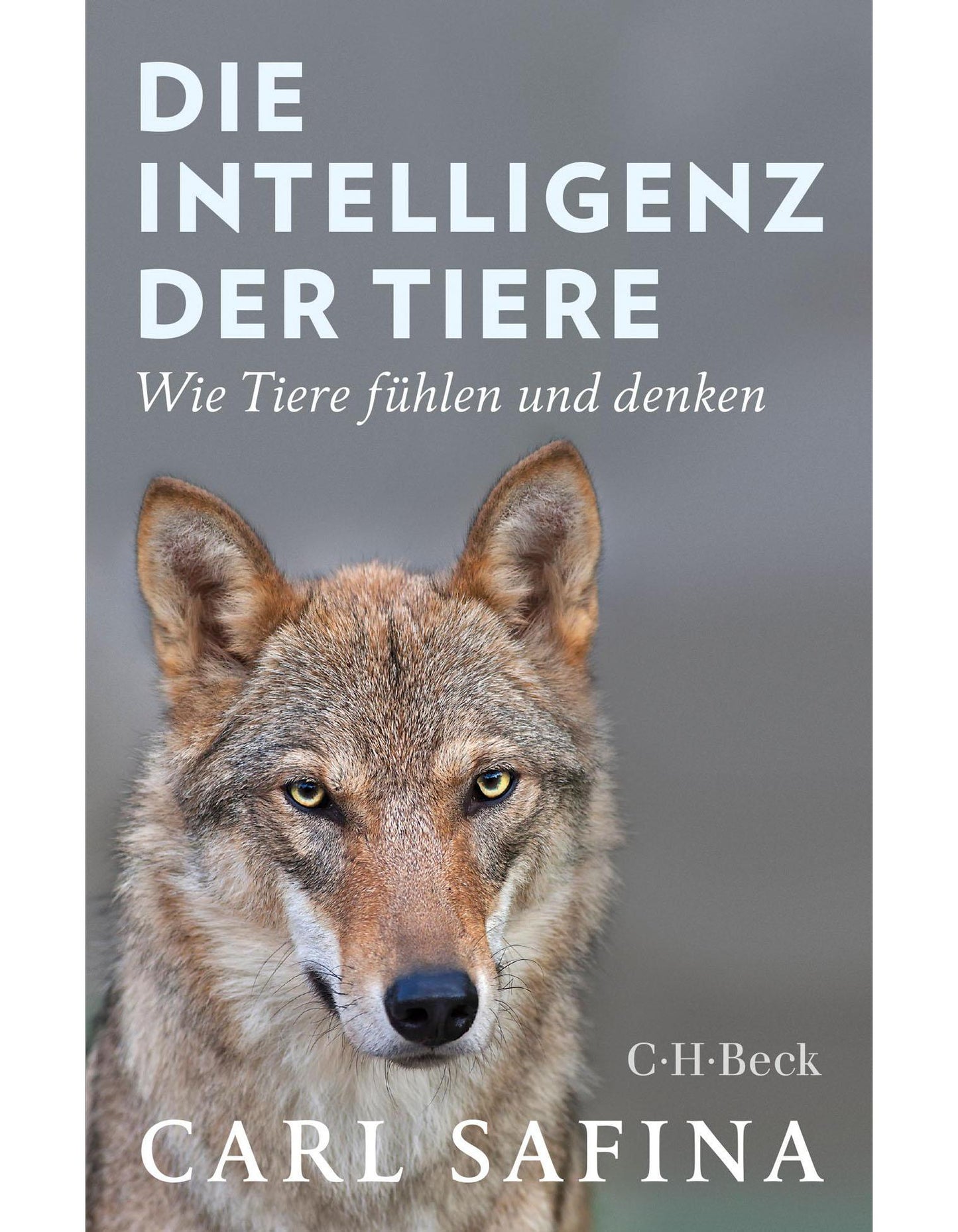 Die Intelligenz der Tiere