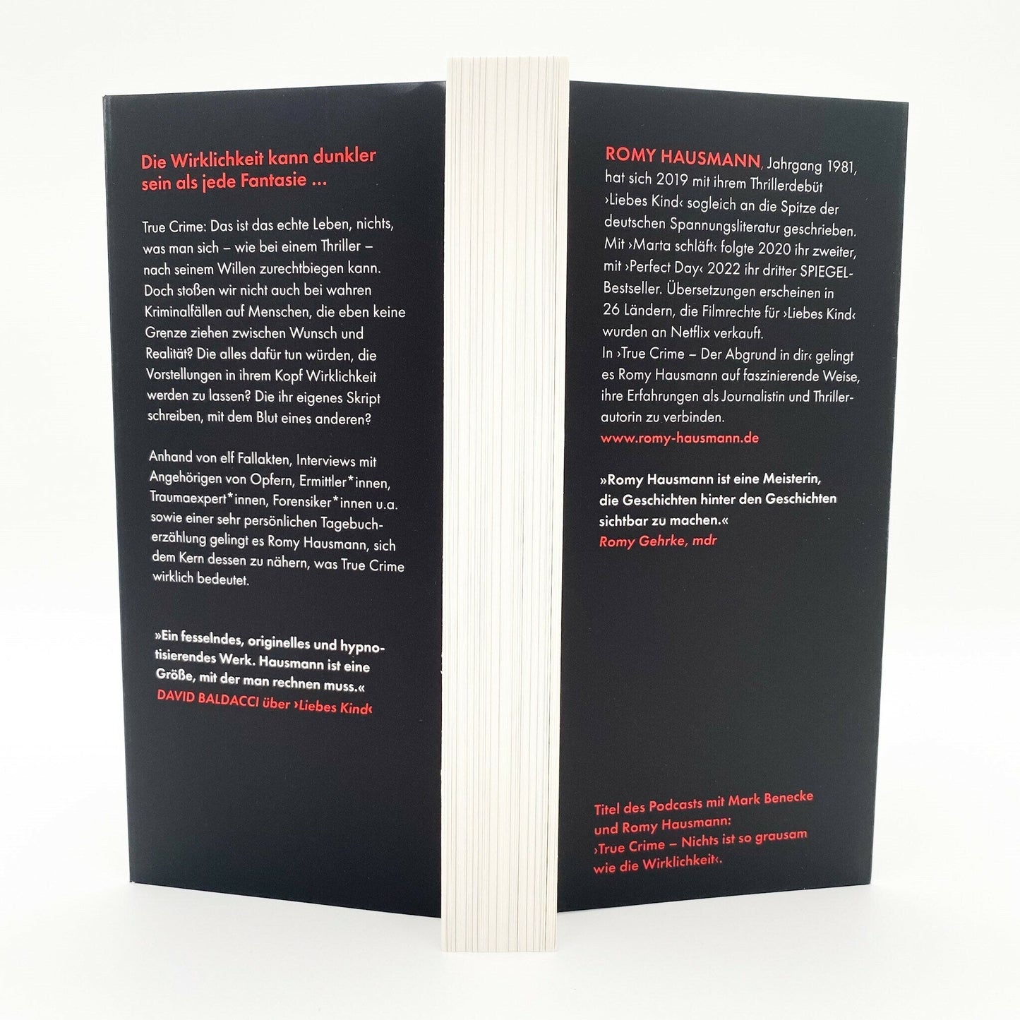 DTV TRUE CRIME. Der Abgrund in dir (Deutsch, 2022, Romy Hausmann)