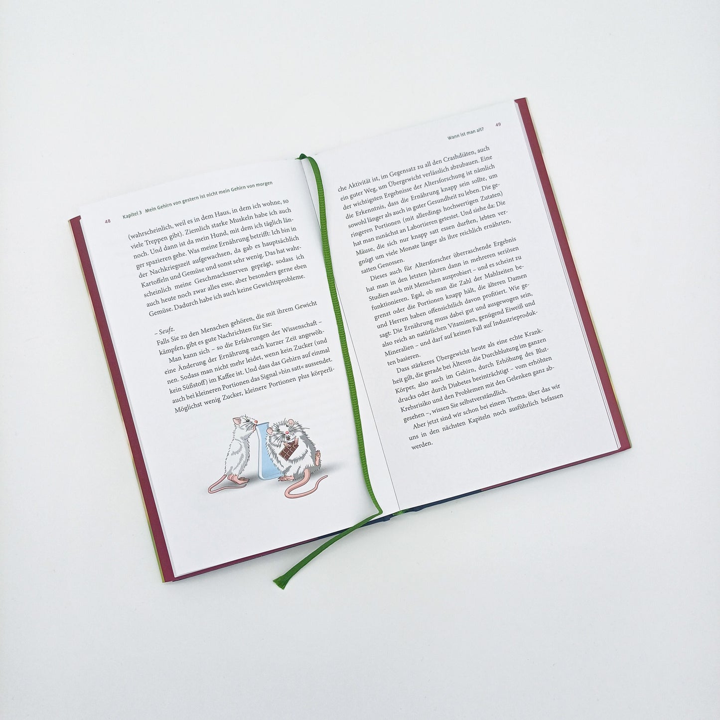 DTV Mit Verstand altern (Deutsch, 2024, Marianne Koch)