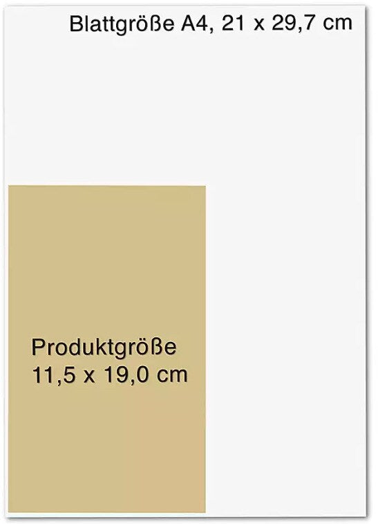O.W. Barth Lass den goldenen Buddha in dir strahlen (Deutsch, 2022, Tara Brach)