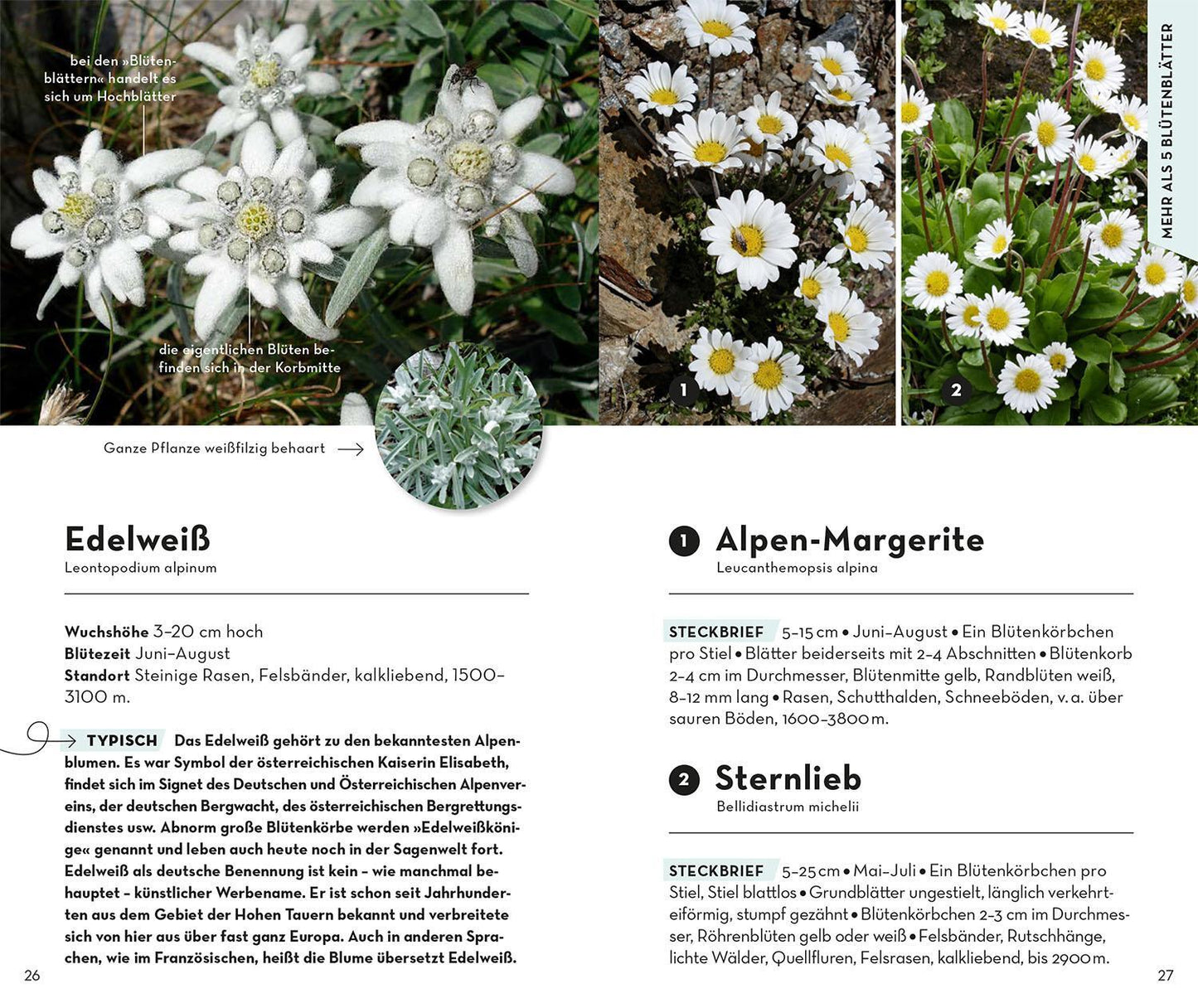 Kosmos Basic Alpenblumen (Deutsch, 2023, Norbert Griebl)