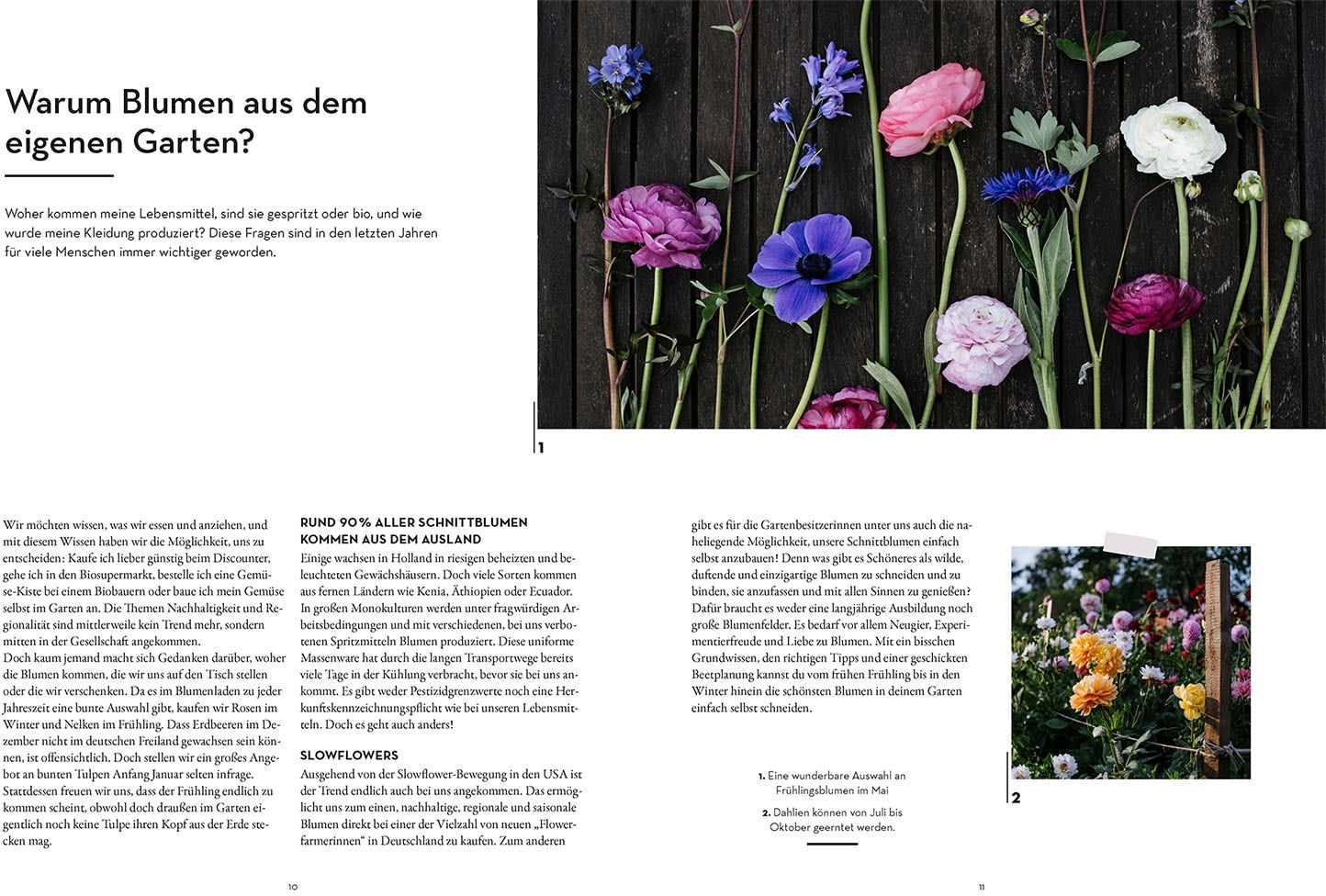 Kosmos Vom Garten in die Vase (Deutsch, 2023, Katharina Funk, Farina Kuklinski, Sebastian Funk)