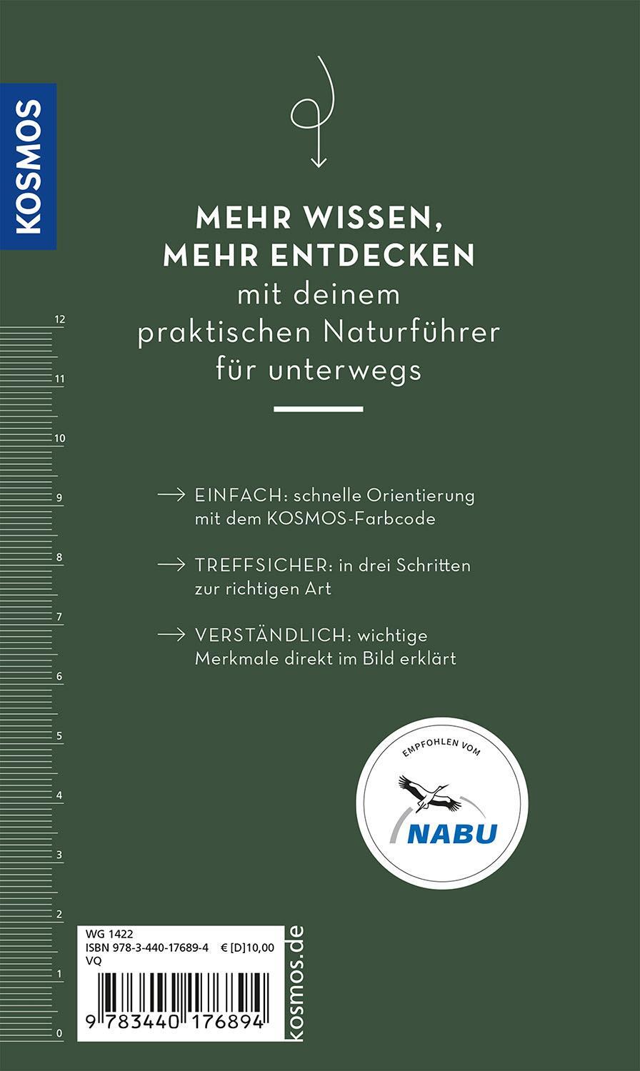 Kosmos Basic Greifvögel und Eulen (Deutsch, 2023, Volker Dierschke)