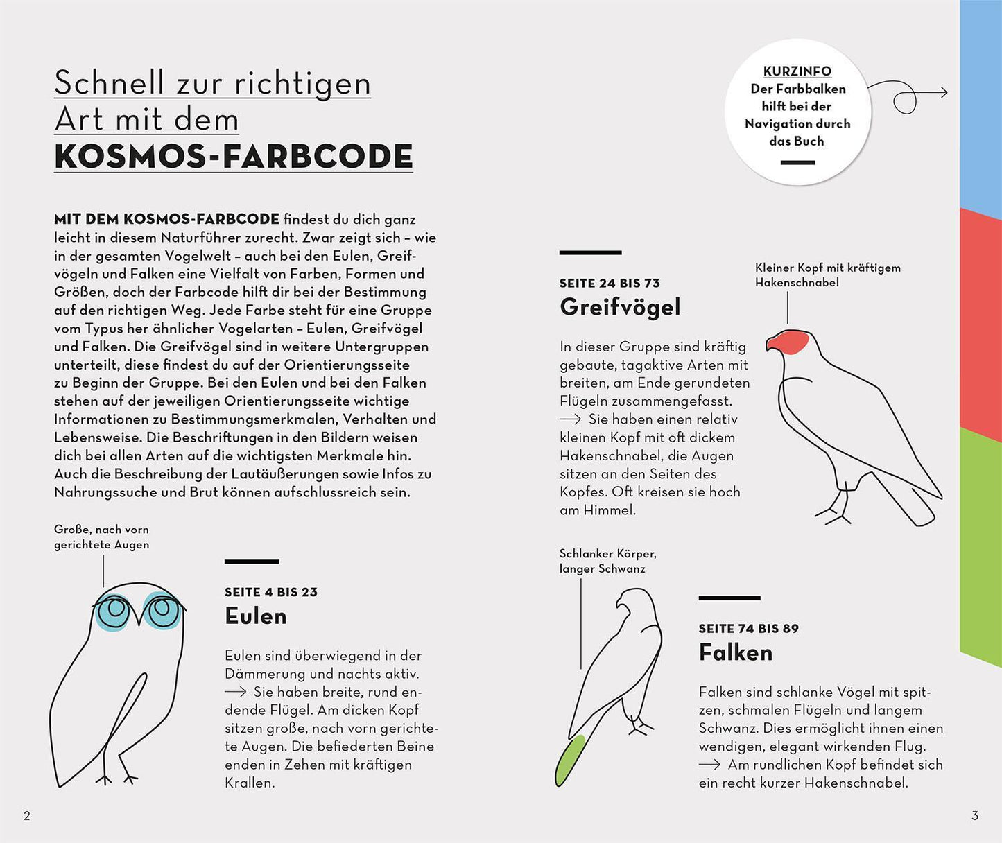 Kosmos Basic Greifvögel und Eulen (Deutsch, 2023, Volker Dierschke)