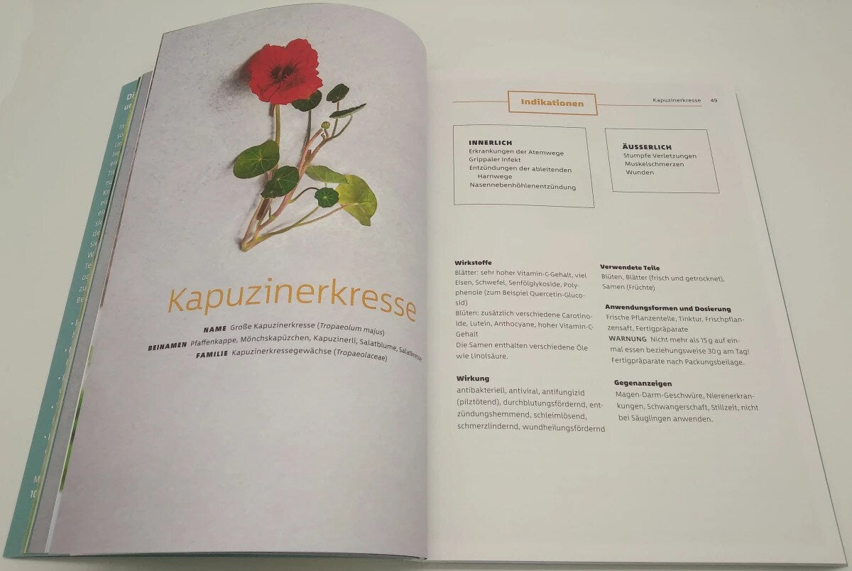 Goldmann 10 Kräuter gegen 100 Krankheiten (Deutsch, 2023, Franziska Rubin)