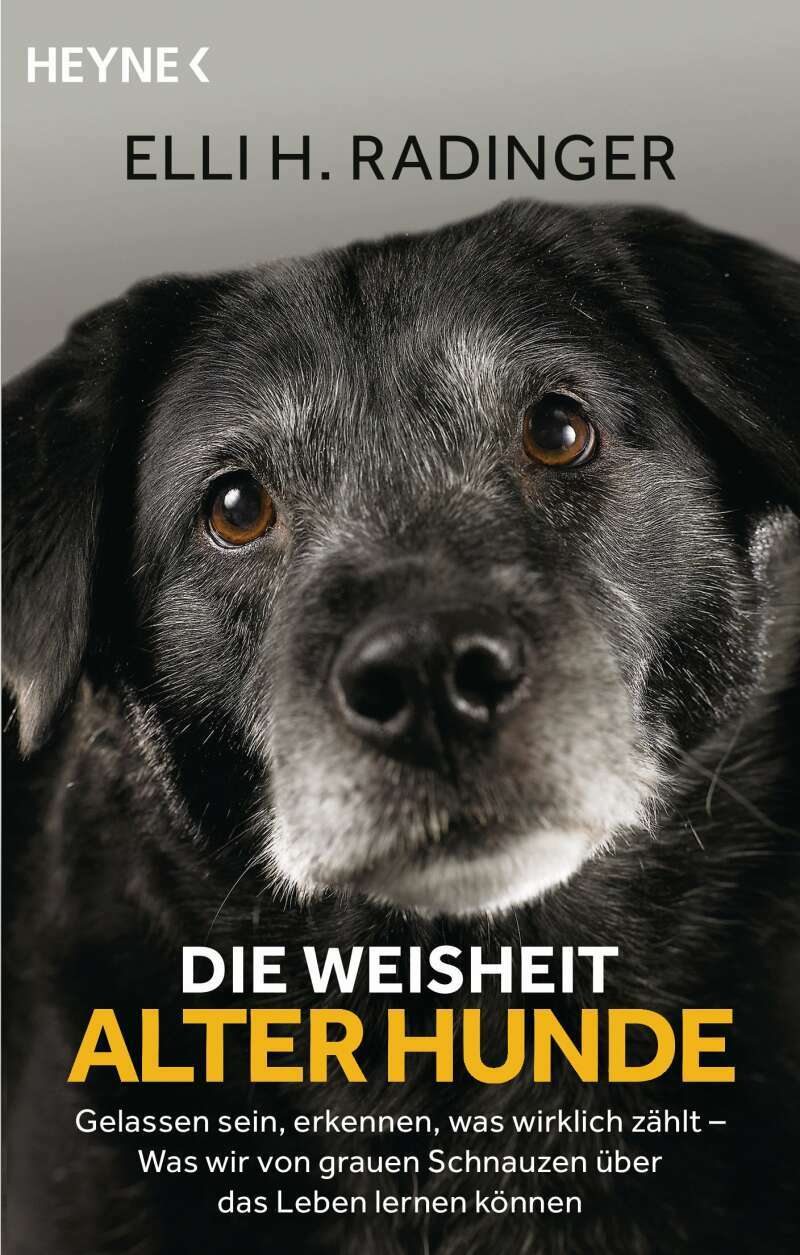 Heyne Die Weisheit alter Hunde (Deutsch, 2020, Leïla Slimani)