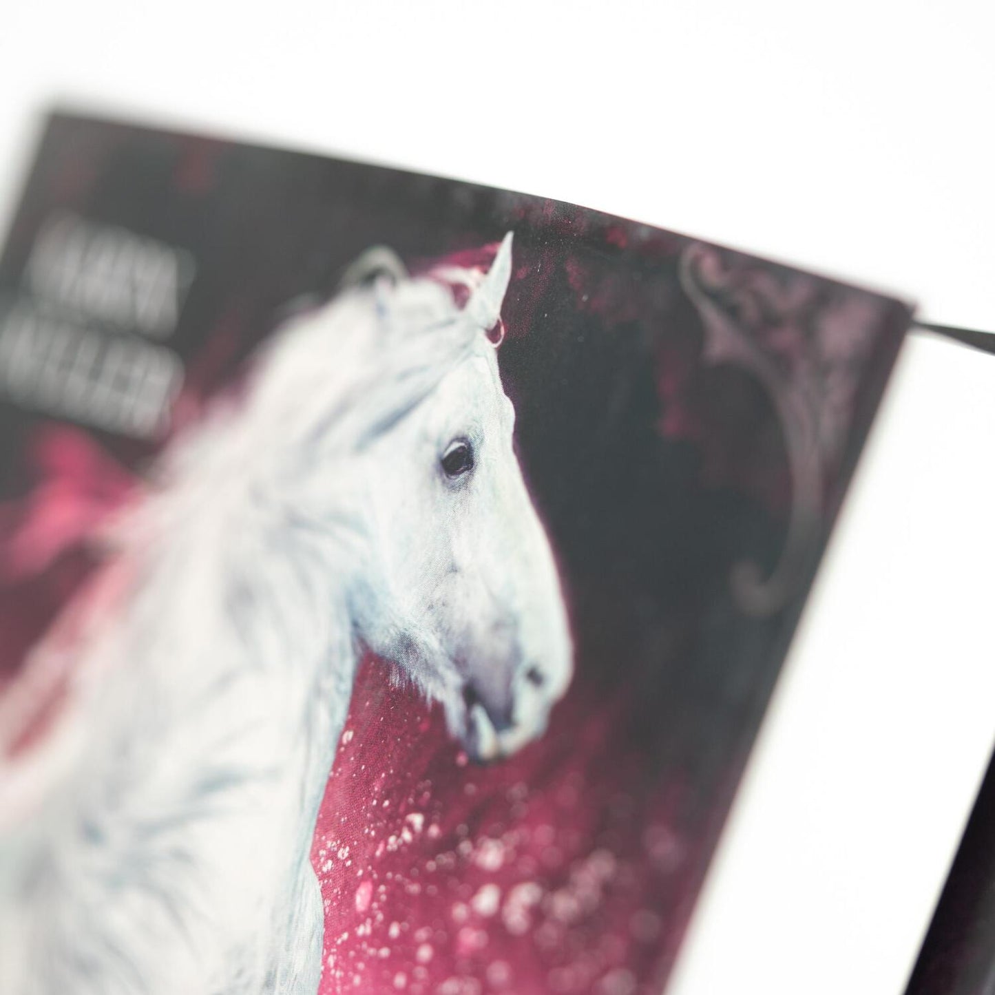 HarperCollins Seahorse - Die Hoffnung der Wasserpferde (Deutsch, 2023, Karin Müller)