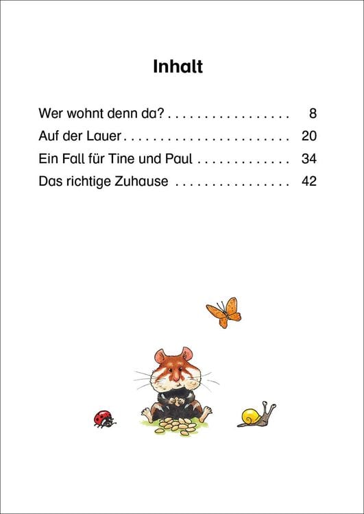 Leselöwen 2. Klasse - Ein Fall für die T