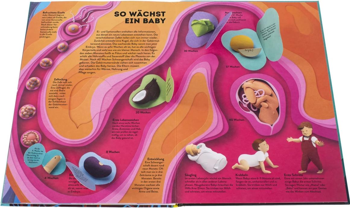 Dorling Kindersley Wissenswelten Körper (Deutsch, 2024, Ruth Symons)