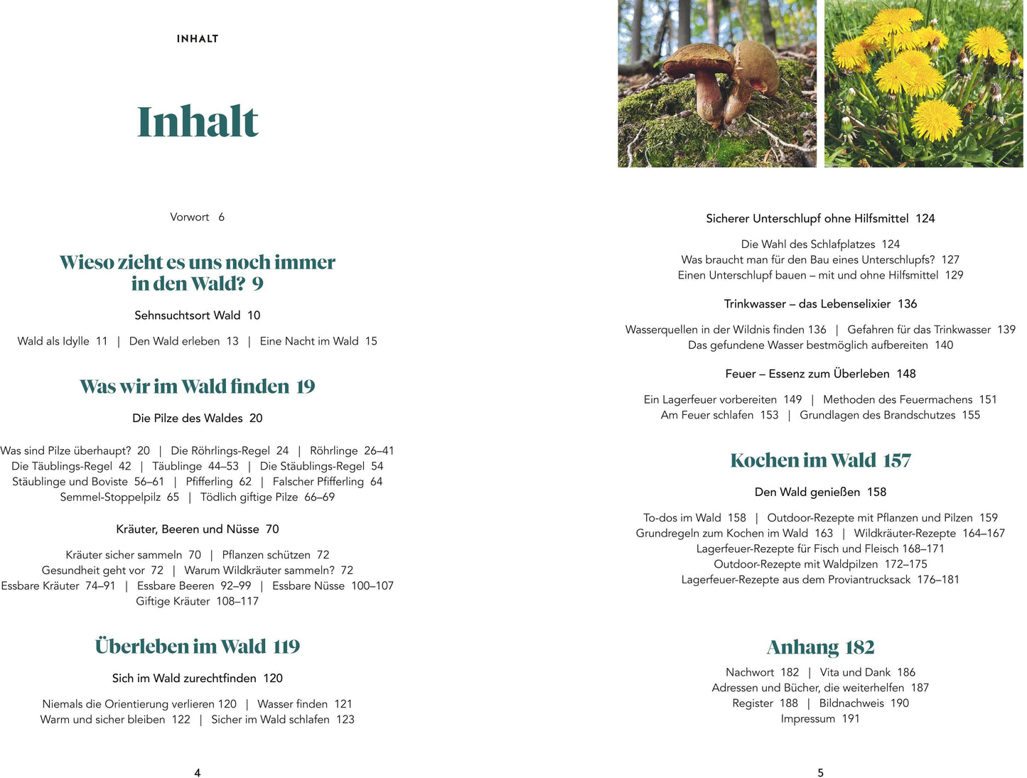 Abenteuer Wald